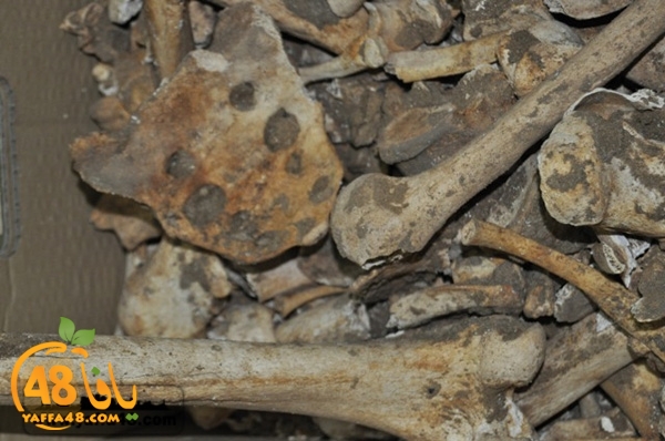 maqbara qeshleah (9).jpg